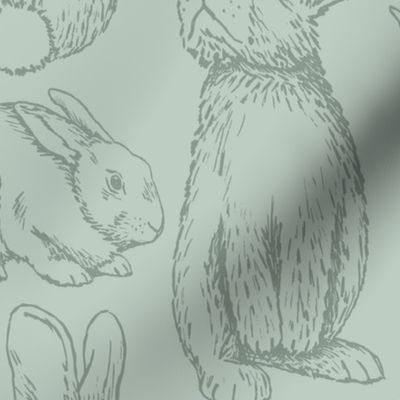 Fluffle of Bunnies - Sage, Jumbo Scale