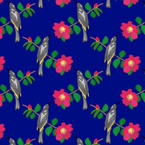 Camellia & Honeyeater Chinoiserie - sapphire blue, medium to large 