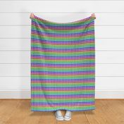 Rainbow and White Houndstooth Plaid Railroaded