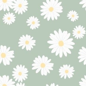 daisies on green [11]