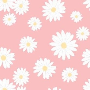 daisies on pink [12]