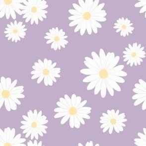 daisies on purple [9]