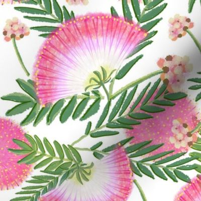 Pink Mimosa Scattered Floral on White lg scale