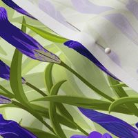 Blue-purple wildflowers