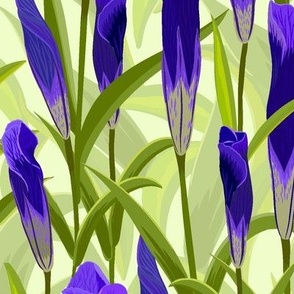 Blue-purple wildflowers (Max)