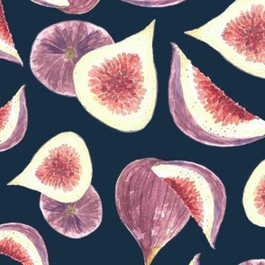 juicy figs- hand painted watercolor