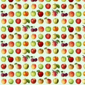 Tiny apples on candy  green gingham