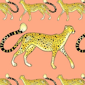 Cheetah Parade peach