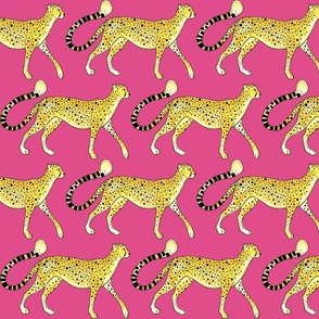 Cheetah parade hot pink