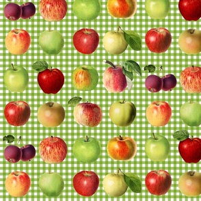 Apples on grass green gingham