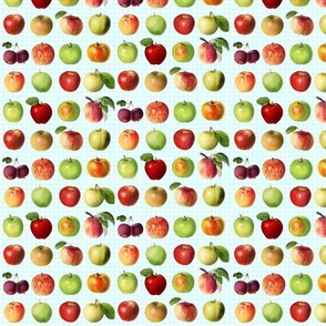 Tiny apples on ice blue gingham