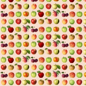 Tiny apples on peach gingham