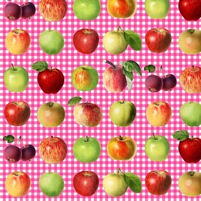 Apples on raspberry gingham