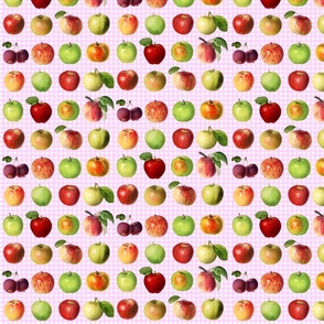 Tiny apples on rose gingham