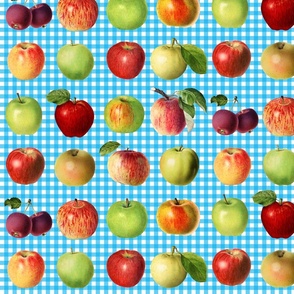 Apples on sky blue gingham