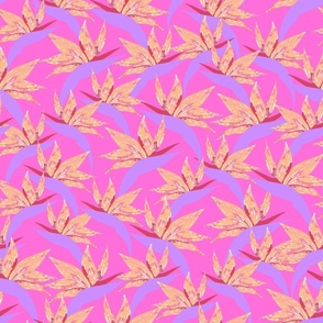 Birds of Paradise Fuchsia Pink by Jac Slade