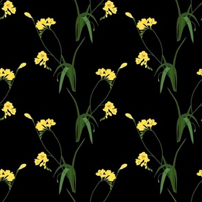 Elegant Freeform Freesias #1 - black, medium 