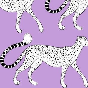 Cheetah Parade in snowy lavender