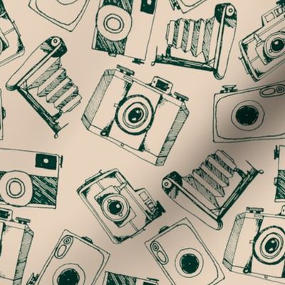 Vintage Cameras_medium_by Seedpod