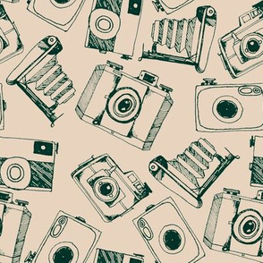 Vintage Cameras_medium_by Seedpod