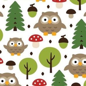 Owls in the forest