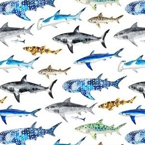 Watercolor Sharks