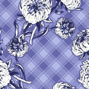 Asters on checkered background