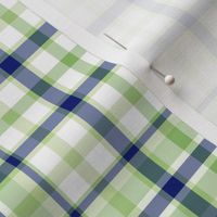 Royal Blue Mint Green and White Plaid