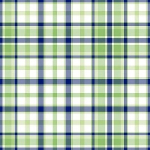 Royal Blue Mint Green and White Plaid