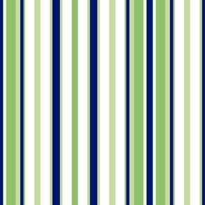 Royal Blue Mint Green and White Vertical Stripe