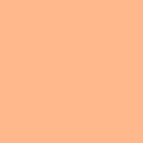 Salmon Orange Tropicana solid #ffb78c by Jac Slade