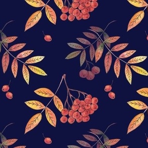 Rowan berries on dark