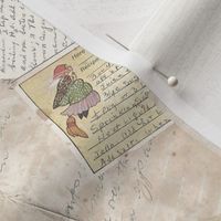 Old Recipes, Scatter