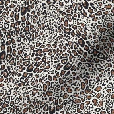 Jaguar skin