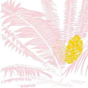 Cycads in cotton candy pink and yellow. 