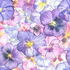 Watercolor Pansy Flower / Small
