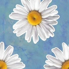 Daisies on Blue - Large