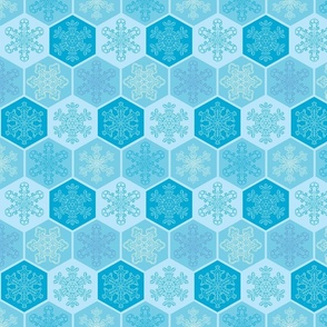 Snowflake Hexagons