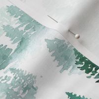 watercolor forest trees -Woodland, Winter, Christmas green