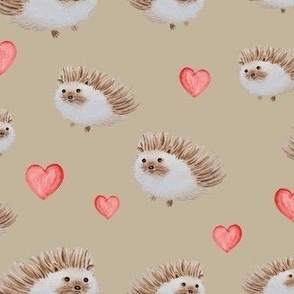 hedgehog love