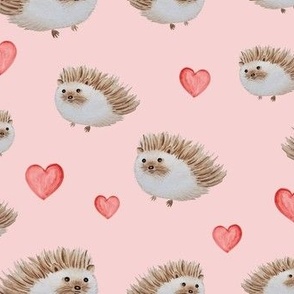 hedgehog love pink
