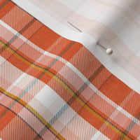 Weekender Plaid - Autumnal Bounty Orange Small Scale