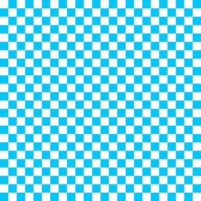 Blue White Checkerboard (larger)