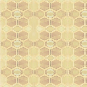 Retro Bugs_Honeycomb Fade