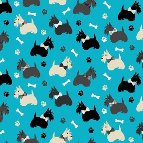 Scottish Terrier -  Scottie Paw and Bones Blue