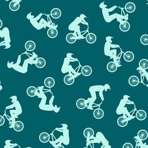 BMX bikers - Bicycle Motocross - sports bicycle -  teal  - LAD21
