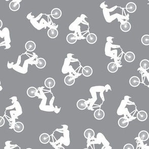 BMX bikers - Bicycle Motocross - sports bicycle -  grey  - LAD21