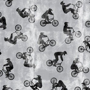 BMX bikers - Bicycle Motocross - sports bicycle -  grey grunge - LAD21