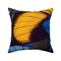 Blue Butterfly Wings Maximalist Insect Nature Jumbo Large