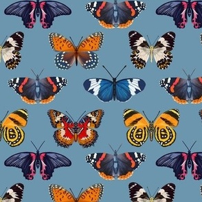 Colorful Butterflies